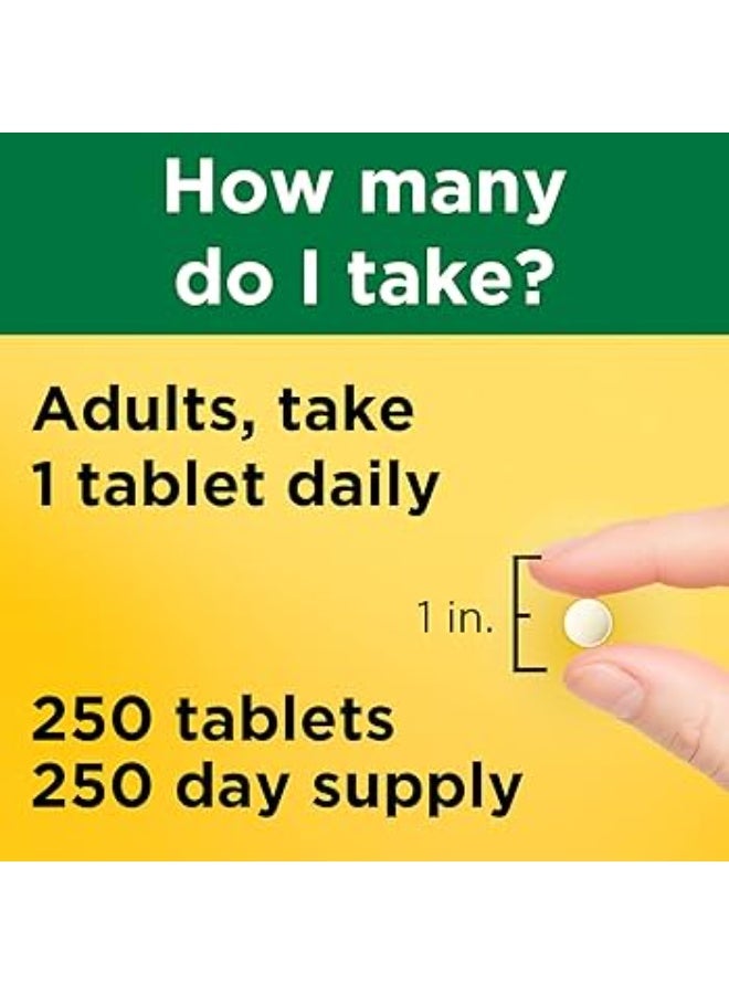 ان بي ناتشرز باونتي حمض الفوليك 400 ميكروغرام أقراص 250 حبة - Image 2